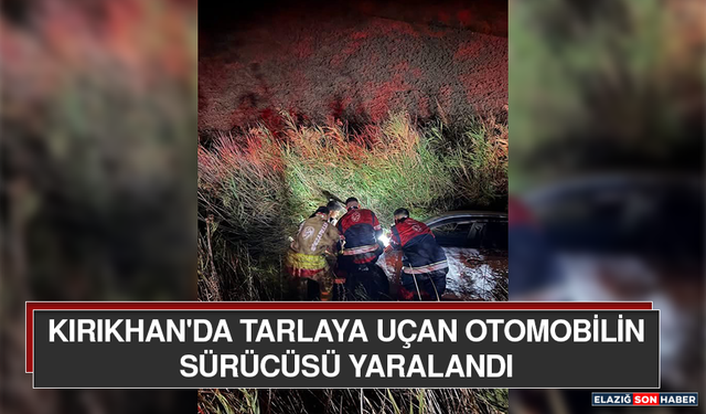 Kırıkhan'da Tarlaya Uçan Otomobilin Sürücüsü Yaralandı