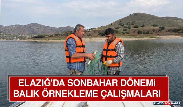 Elazığ'da Sonbahar Dönemi Balık Örnekleme Çalışmaları