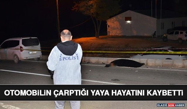 Otomobilin Çarptığı Yaya Hayatını Kaybetti