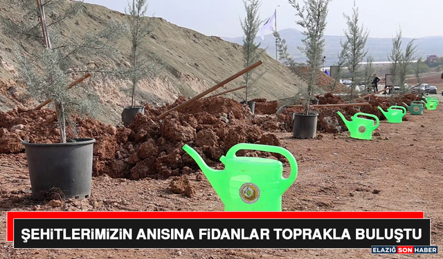 Şehitlerimizin Anısına Fidanlar Toprakla Buluştu