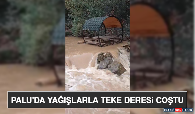 Palu'da Yağışlarla Teke Deresi Coştu