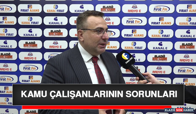 Kamu Çalışanlarının Sorunları