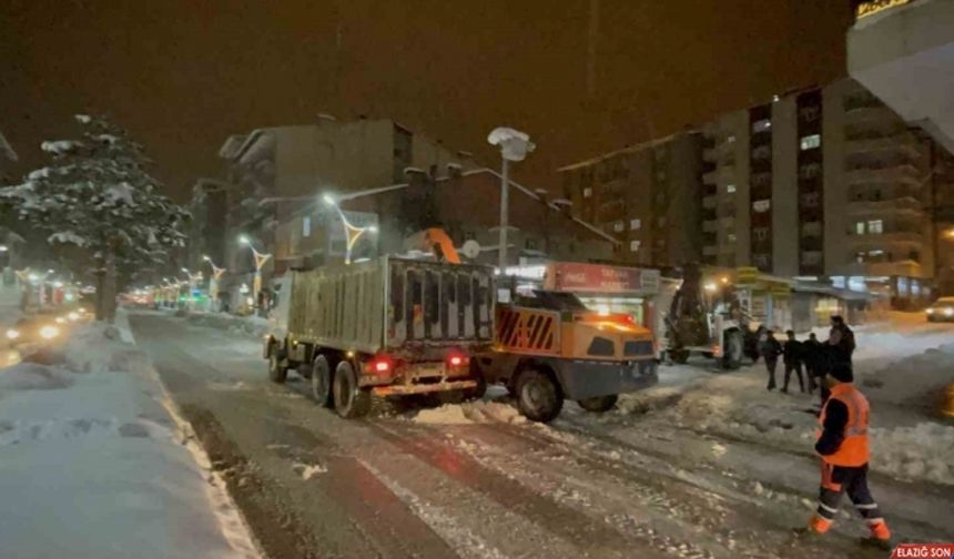 Tatvan’da karla mücadele çalışmaları aralıksız sürüyor