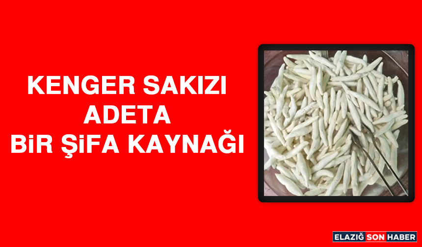 Kenger Sakızı Adeta Bir Şifa Kaynağı