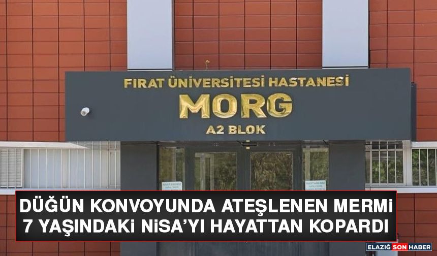 Düğün Konvoyunda Ateşlenen Mermi 7 Yaşındaki Nisa'yı Hayattan Kopardı