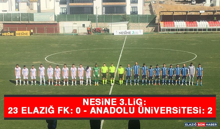 Nesine 3. Lig: 23 Elazığ FK: 0 - Anadolu Üniversitesi: 2