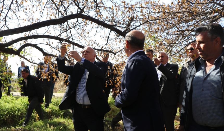 TZOB Genel Başkanı Bayraktar, Elazığ'da zirai dondan etkilenen bahçeleri inceledi