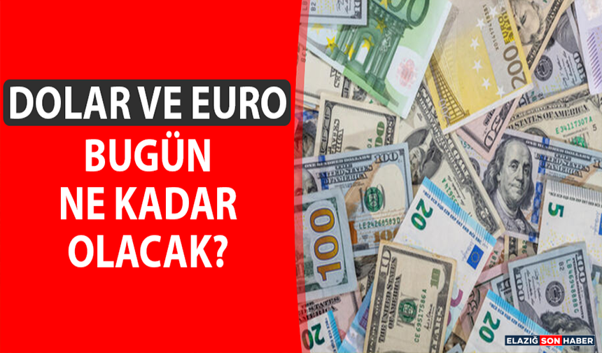 13 Aralık Dolar ve Euro Fiyatları
