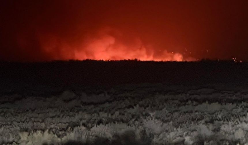 Mersin'deki Göksu Deltası'nda yangın