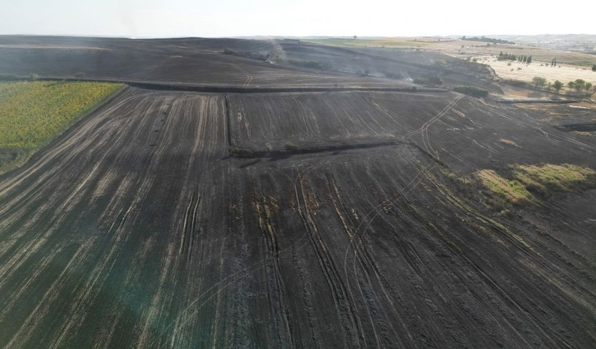 Tekirdağ'da çıkan yangında 1500 dekar tarım arazisi zarar gördü