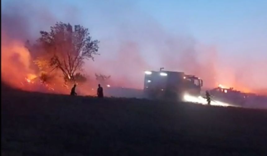 Tekirdağ'da havai fişekten çıktığı iddia edilen yangında 15 dekar buğday ekili alan yandı