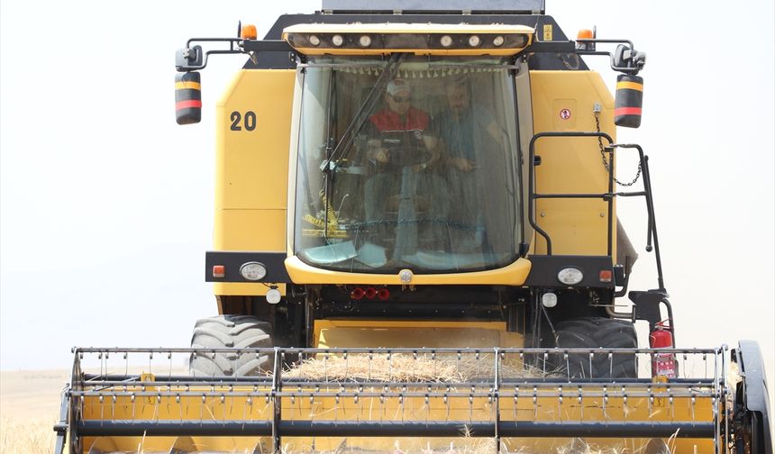 Ağrı Valisi Mustafa Koç, kentteki arpa ve buğday hasadına katıldı