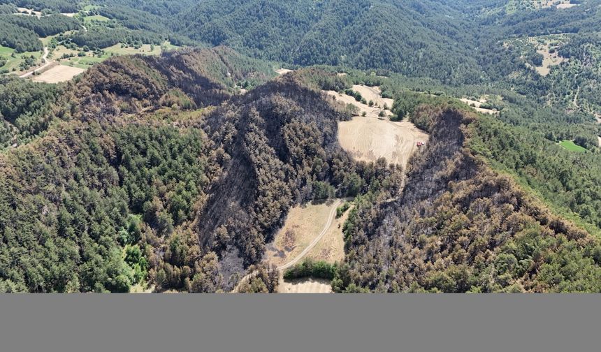 Bolu Göynük'teki orman yangınında 35 hektarlık alan zarar gördü