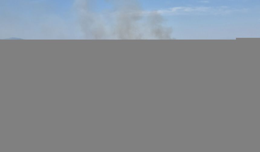 İzmir'in Buca ilçesinde çıkan orman yangınına müdahale ediliyor