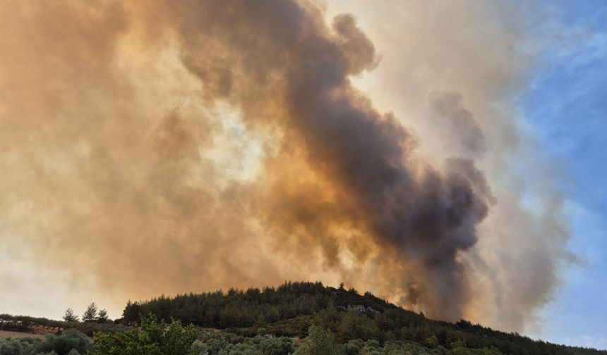 Manisa'da çıkan 2 orman yangınından biri kontrol altına alındı, diğerine müdahale sürüyor