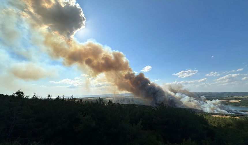 Tekirdağ'da orman yangınına havadan ve karadan müdahale ediliyor