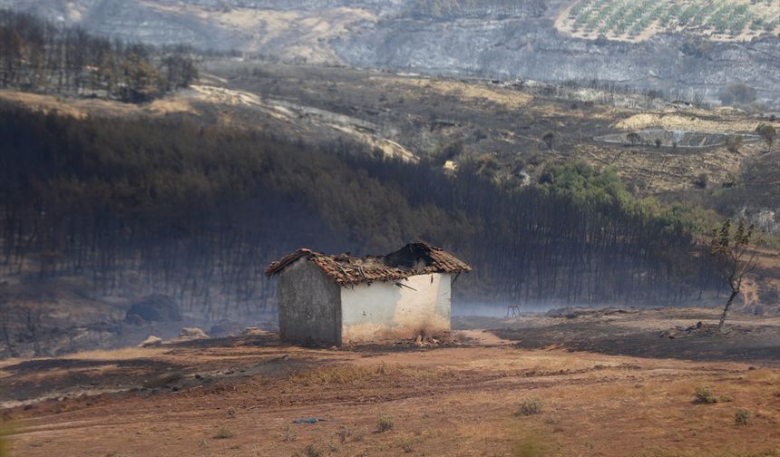 Tekirdağ'daki orman yangınına havadan ve karadan yoğun müdahale sürüyor