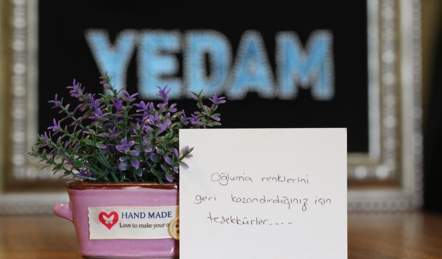 Yeşilay'ın danışma hattına başvuru sayısı 1,5 milyona yaklaştı