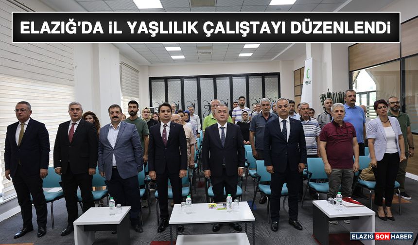 Elazığ'da İl Yaşlılık Çalıştayı Düzenlendi