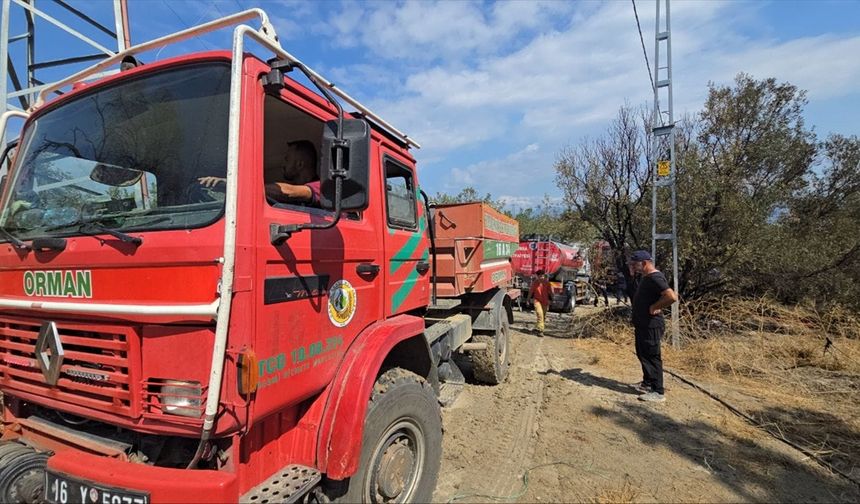 Bursa'nın Mudanya ilçesinde ormanlık alanda çıkan yangın söndürüldü