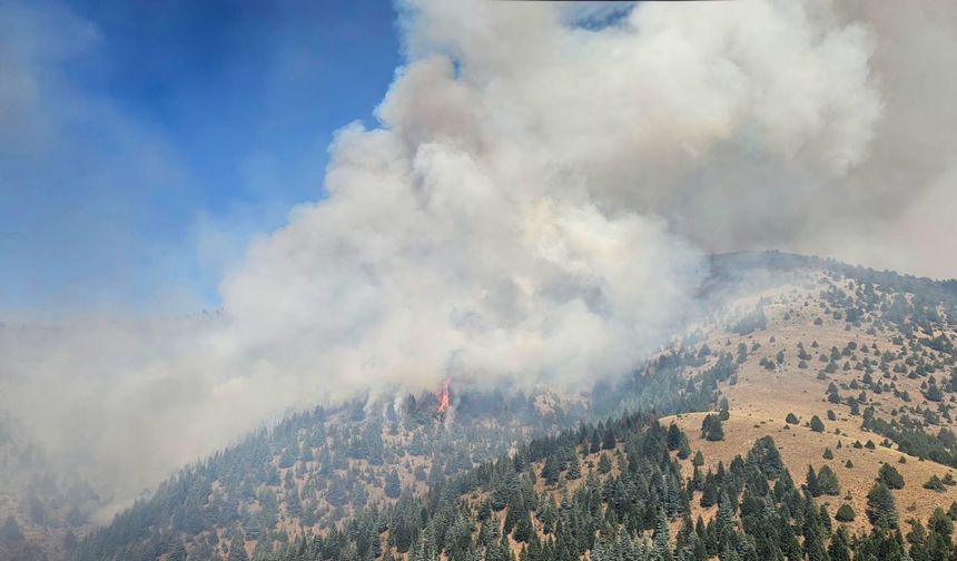 GÜNCELLEME - Kahramanmaraş'ta çıkan orman yangınına müdahale sürüyor