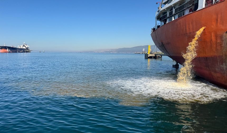 İzmit Körfezi'ni kirleten gemi hakkında yasal işlem başlatıldı