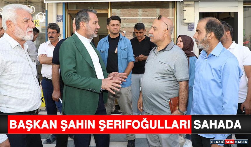 Başkan Şahin Şerifoğulları Sahada