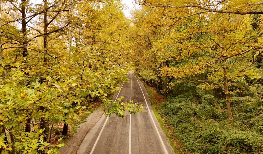 KARABÜK - 'Orman denizi' Karabük'te sonbaharın renkleri havadan görüntülendi
