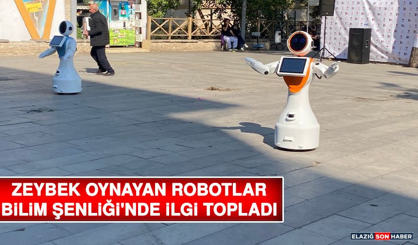 Zeybek Oynayan Robotlar Bilim Şenliği'nde İlgi Topladı