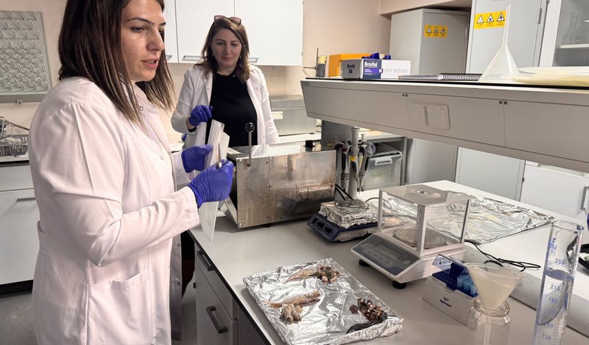 Balığın tazelik derecesini gösteren ölçüm cihazına 'buluş' tescili