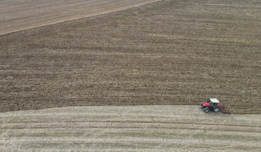 DAMLA DAMLA KRİZ - Trakya'da kuraklık daha az su isteyen ürünleri gündeme getiriyor