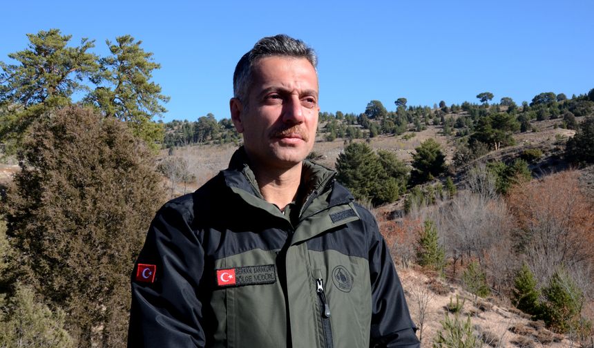 Doğu Anadolu'da bal ormanları kurulduğu bölgelerde üretimi arttıracak