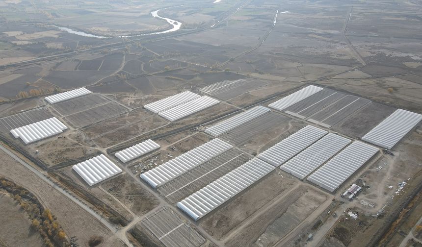 Doğu Anadolu'nun en büyük toplu sera alanı Erzincan'da kurulacak