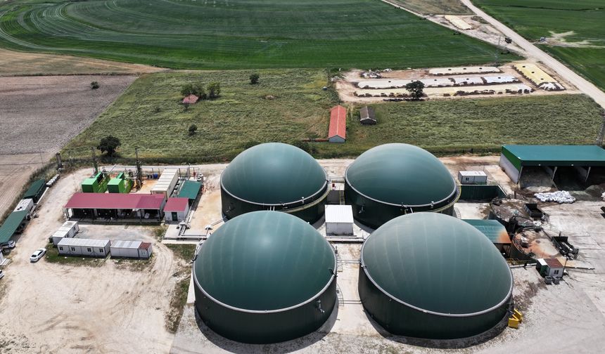 Edirne'de köye kurulan tesiste bitkisel ve hayvansal atıklar elektriğe dönüşüyor
