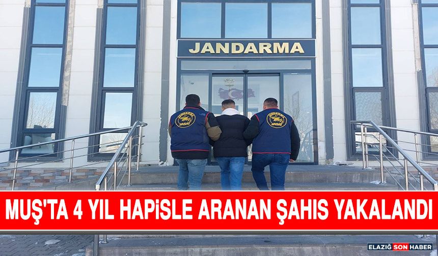 Muş'ta 4 Yıl Hapisle Aranan Şahıs Yakalandı