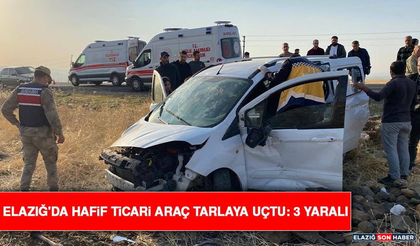 Elazığ'da Hafif Ticari Araç Tarlaya Uçtu: 3 Yaralı