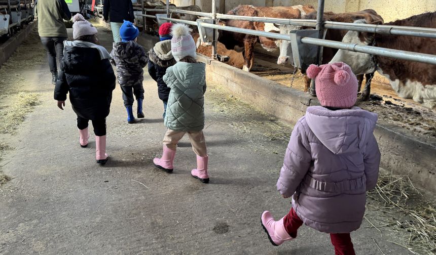 Ardahan'da anaokulu öğrencilerine hayvancılık ve tarım sahada öğretiliyor