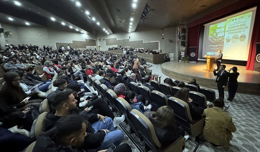 Ardahan'da kavılca buğdayından yapılan ürünlerin tanıtımı yapıldı