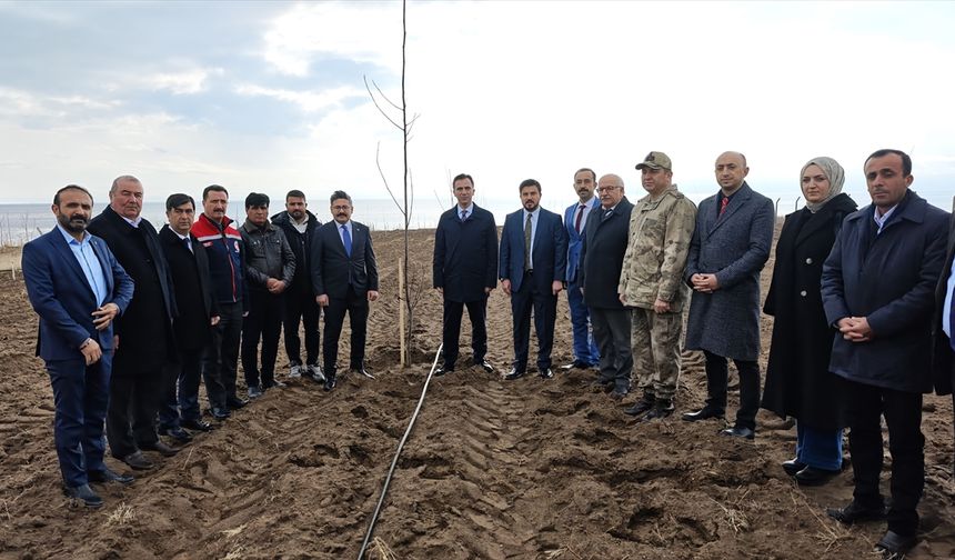 Bitlis'te çiftçilere 12 bin sertifikalı ceviz fidanı dağıtımına başlandı