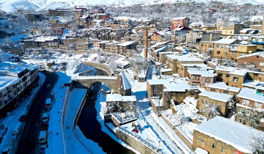 Bitlis'te tarihi yapılar karla kaplandı