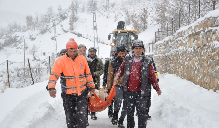 Bitlis'te yolu kapanan mezradaki hasta ekiplerin çalışmasıyla hastaneye ulaştırıldı