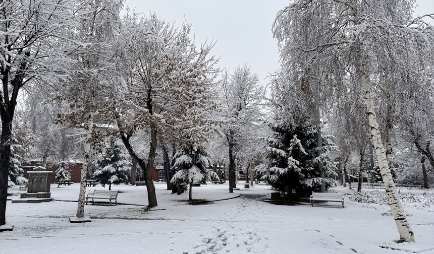 Erzurum, Kars, Ardahan, Ağrı ve Tunceli'de kar yağışı etkili oldu