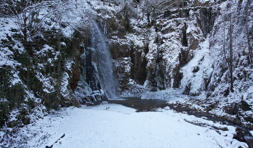 Gümüşhane'deki Çağlayandibi Şelalesi Tabiat Parkı beyaza büründü