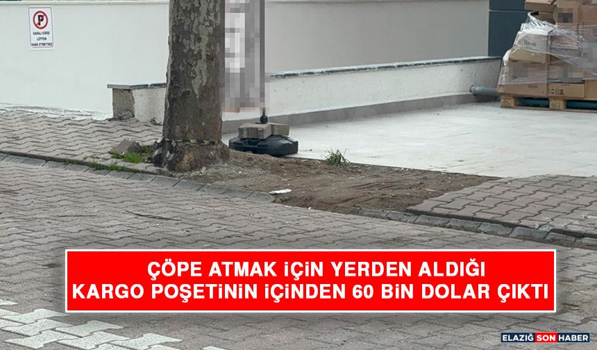 Çöpe Atmak İçin Yerden Aldığı Kargo Poşetinin İçinden 60 Bin Dolar Çıktı
