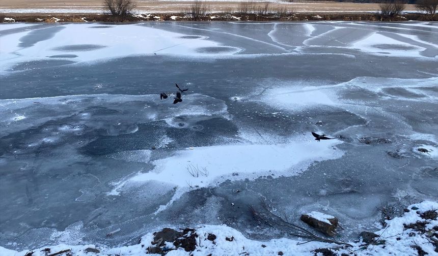 Kars ve Ardahan'da soğuk hava etkili oluyor