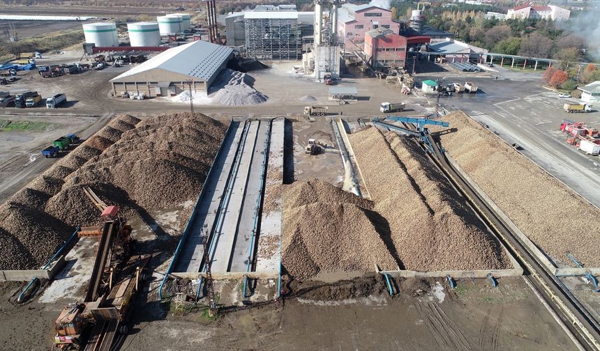 Muş ve Van'daki fabrikalarda 76 bin 10 ton şeker üretimi hedefleniyor