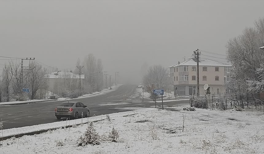 Muş'un Varto ilçesinde kar etkili oldu