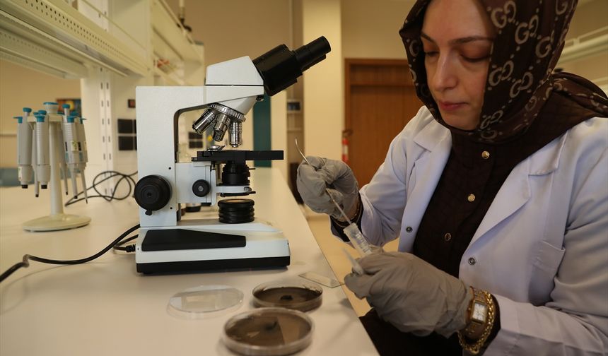 Organik içerikli solüsyon, tarımsal ürünlerin kalitesini artırıp raf ömrünü uzatıyor