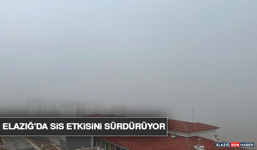 Elazığ'da Sis Etkisini Sürdürüyor