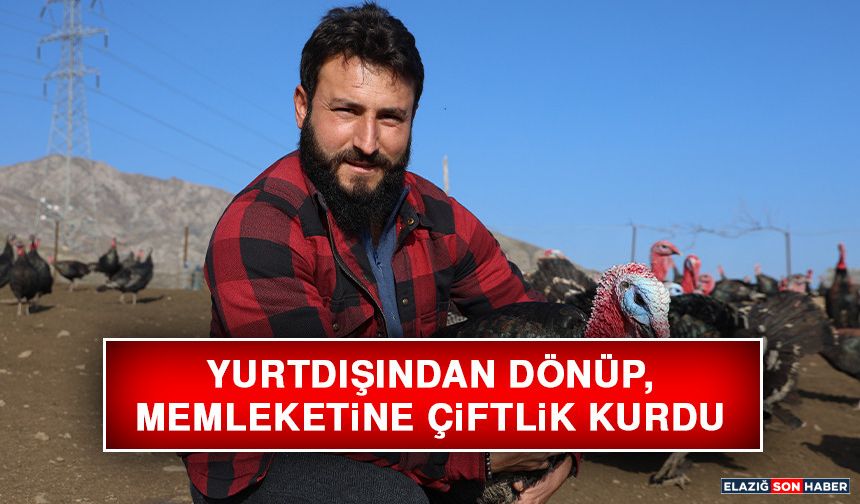 Yurtdışından Dönüp, Memleketine Çiftlik Kurdu